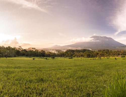 Sunset in die ricefields, Karangasem, Bali, Indonesia
