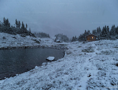 Snow is coming in, Alpine Lake, BC, Canada