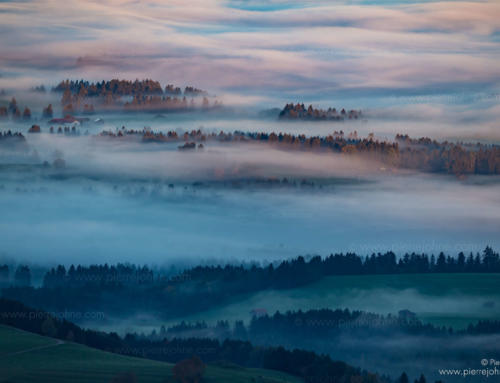Fog leaping over the lower parts of the Allgäu, Bavaria, Germany