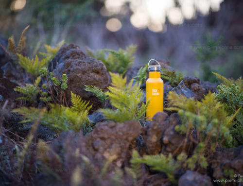 Sustainable Bottle, Island of Teneriffa, Spain